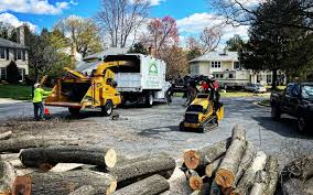 Best Tree Preservation Services  in Anderson Island, WA